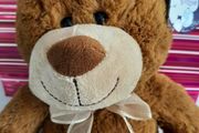 new teddy with tag in gift bag