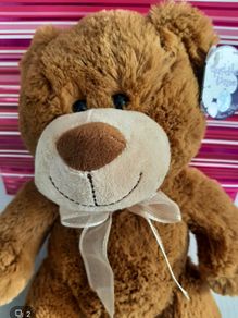 new teddy with tag in gift bag