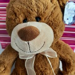 new teddy with tag in gift bag