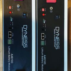 Dyness A48100 LiFePO4