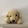 Vintage Andrex Puppy Image 3
