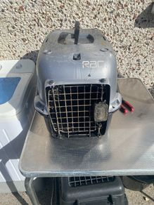 cat box