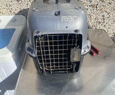 cat box