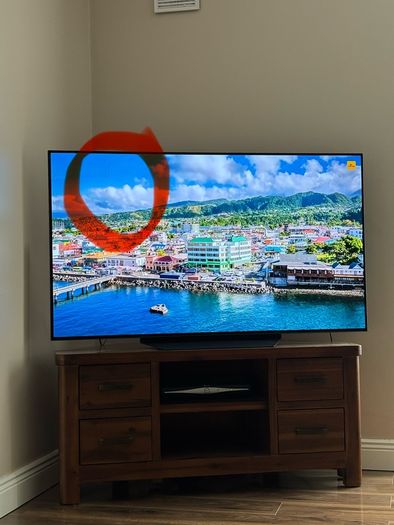LG smart OLED tv 55 inch