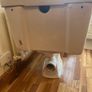 Toilet Image 3