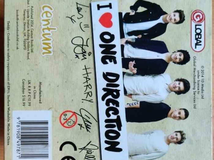 Harry Styles, Liam Payne / One Direction - Collectors Item
