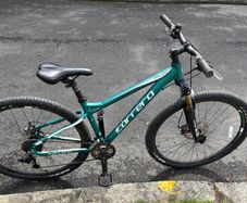 Carrera Hellcat Limited Edition 29er Mountain Bike