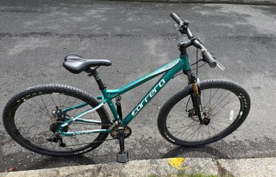 Carrera Hellcat Limited Edition 29er Mountain Bike