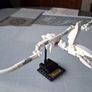 Lego Ideas Dinosaur Fossils Set #21320 Image 4