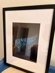 NZ Fern print framed