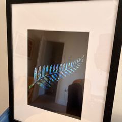 NZ Fern print framed