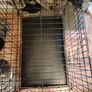 Large pet crate Image 5