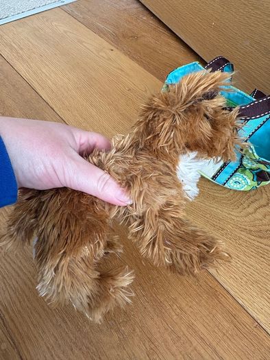 Dog stuffed animal in bag