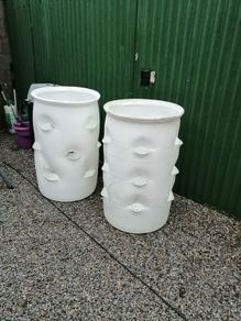 strawberry planter