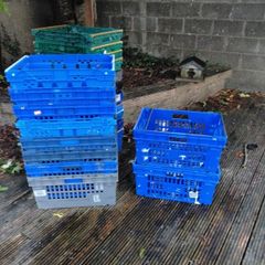plastic crates