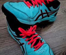 Hockey Shoes (Size: 39.5)