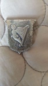 Irish republic nationalist badge