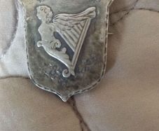 Irish republic nationalist badge