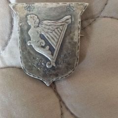 Irish republic nationalist badge