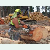 Speirs Logging Jobs in Ireland