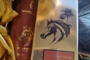 Montale Arabian Musk 2024 10 ml decant