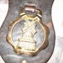 Horse Brass Martingale Decorative Brass Plaques Mounted on a Leather Strap Image 6