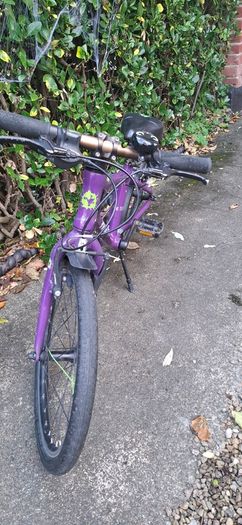 Frog 55 kids bike