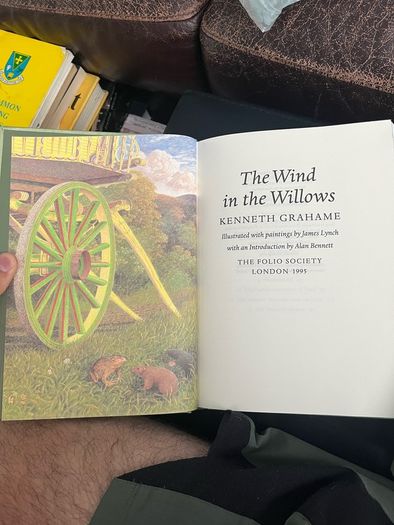 The wind in the willows