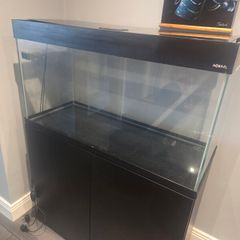 tropical fish tank