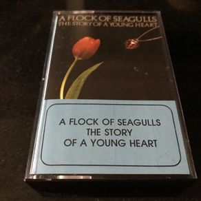 A Flock Of Seagulls   |  The Story Of A Young Heart