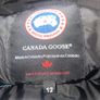 Canada Goose Image 5