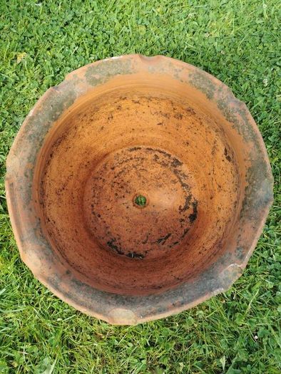 Terracotta planter