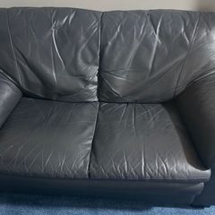 Leather sofa free delivery