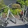 Bikes Image 7