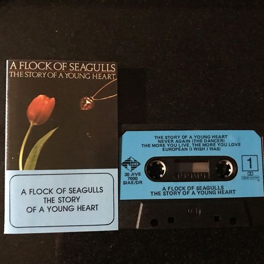 A Flock Of Seagulls   |  The Story Of A Young Heart