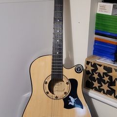 Accoustic Guitar