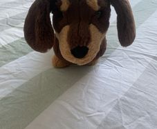 Jellycat Otto Sausage dog