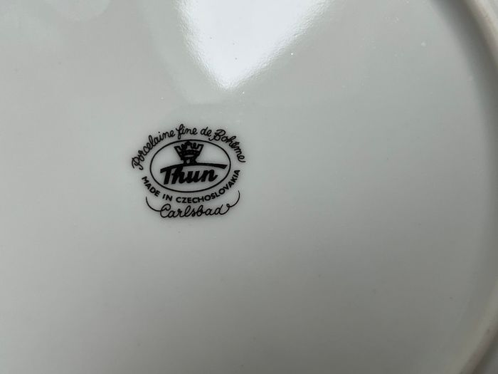 11 Piece Fine Porcelain China Set