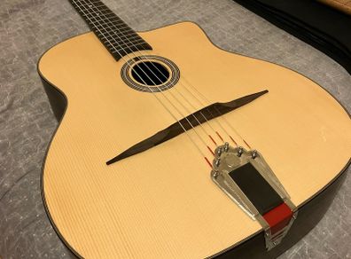 Eastman DM1 Gypsy Jazz Guitar
