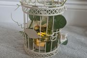 Small Birdcages for Rent