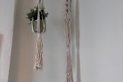 Plant holder