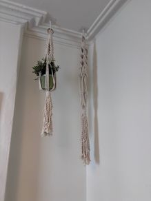 Plant holder
