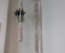 Plant holder
