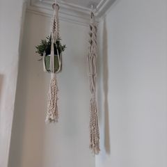 Plant holder