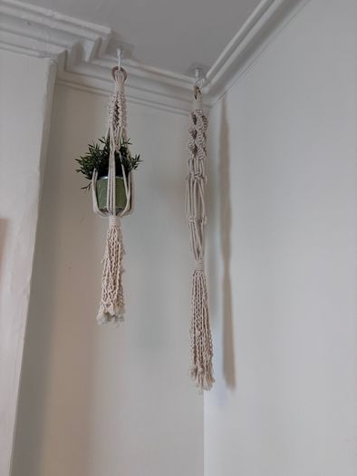 Plant holder