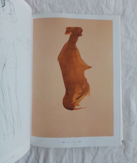 Joseph Beuys (1988 Hardback) - The Secret Block for a Secret Person In Ireland - Modern Art Book