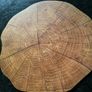 6 New Table Mats Image 2