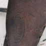 high Nellie parts Image 9
