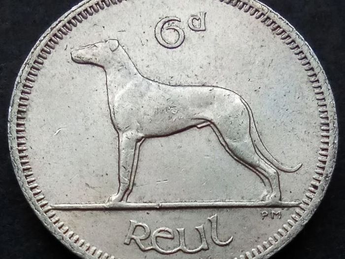 [#481] - Ireland 1963 | Irish 6p | 6 Pence | Wolfhound | KM.13a