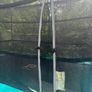 Trampoline Image 8